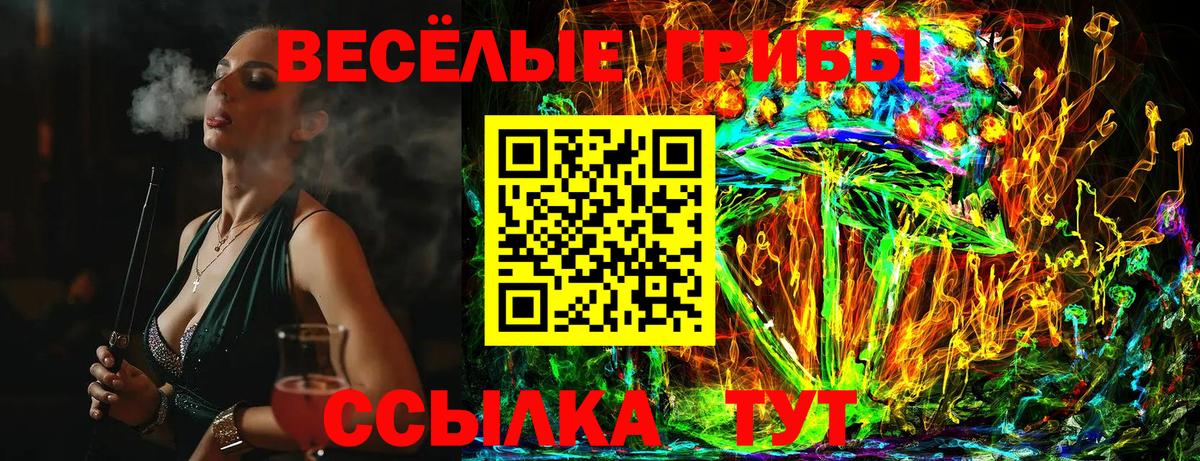 Галлюциногенные грибы MAGIC MUSHROOMS Кудрово