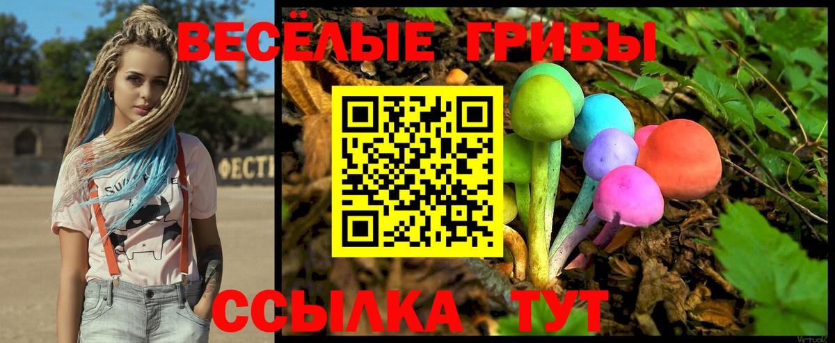 наркота  Псилоцибиновые грибы Psilocybine cubensis  Вход с VPN  Кудрово 