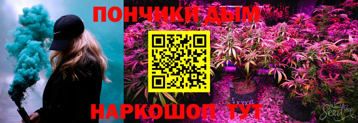 Каннабис сатива  Бошки марихуана THC 21%  Кудрово  Вход с VPN  Конопля сатива 